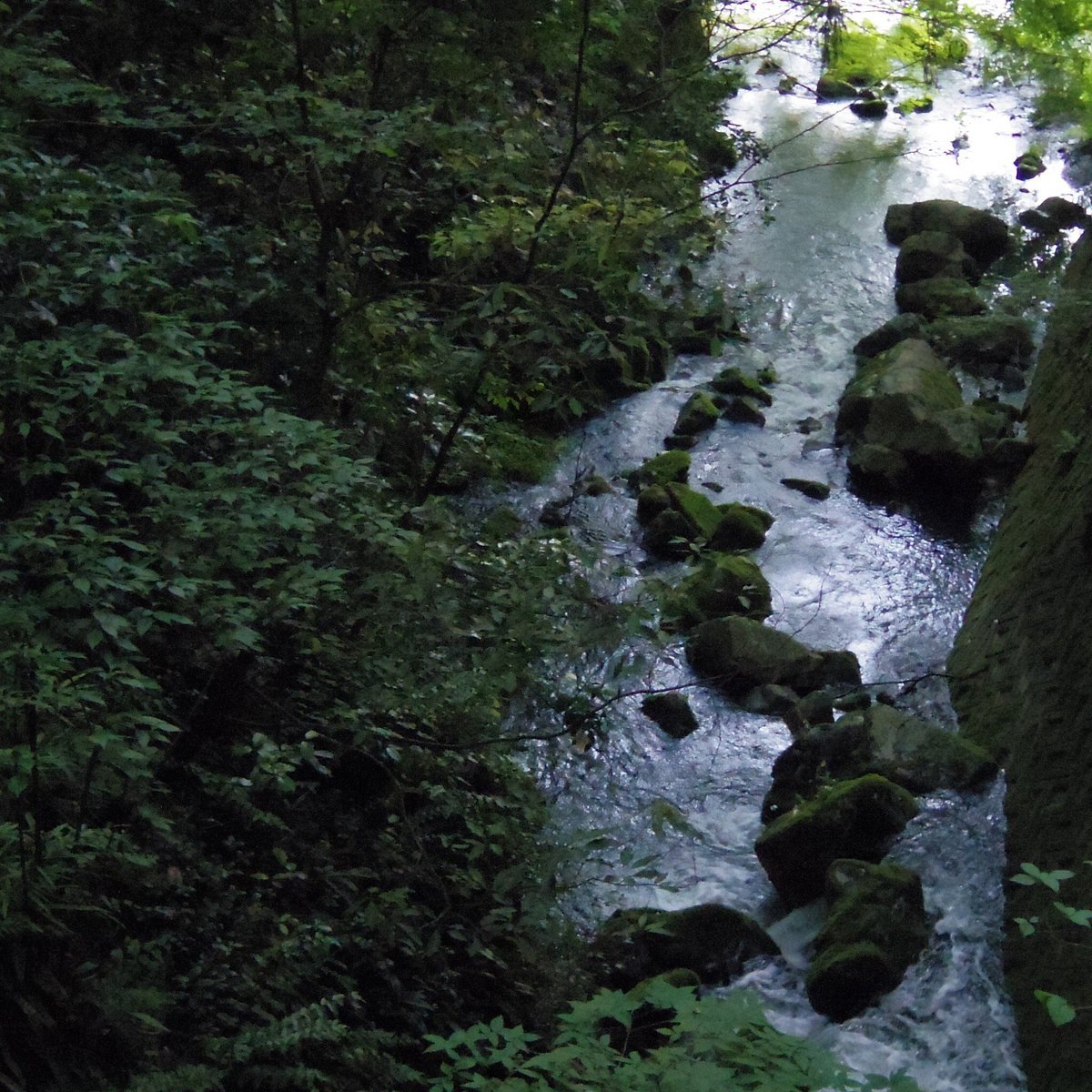 🏞️ 빗추 가나치아나 동굴(빗추카나치아나) 이미지 7